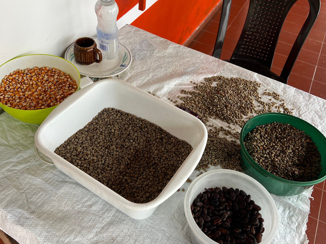 Hane Coffee-布埃纳维斯塔必去景点