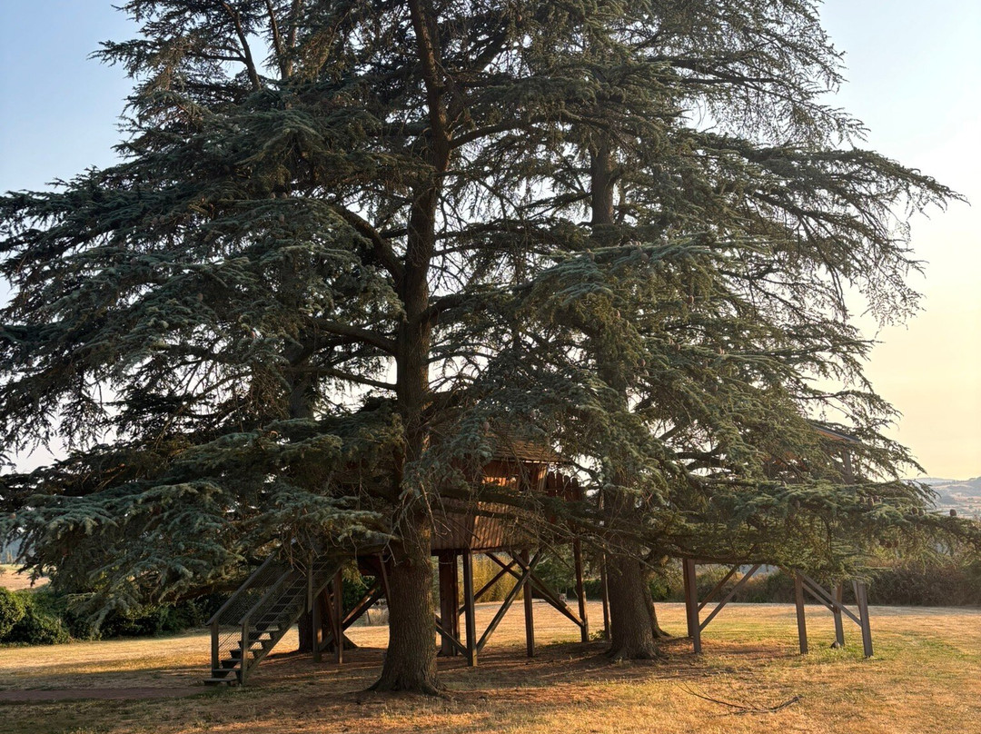 Domaine des Grands Cedres主图