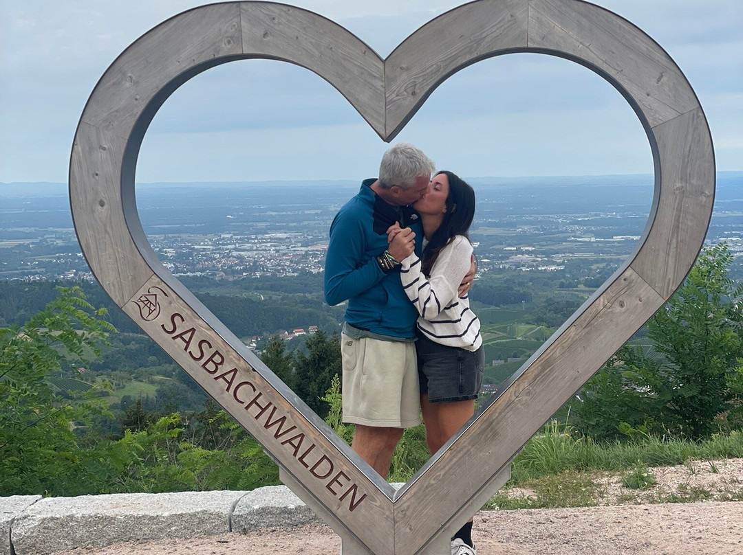 Berghof Gruner Baum主图