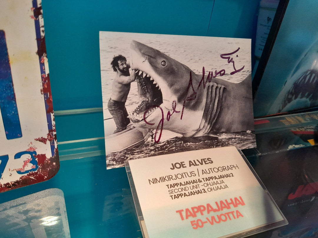 Kummallisuuksien museo-奥卢必去景点