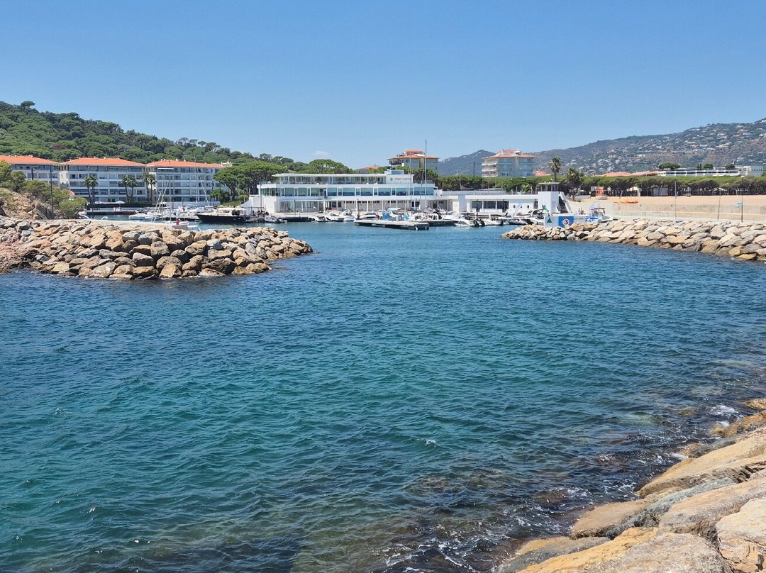 Mas La Casassa主图