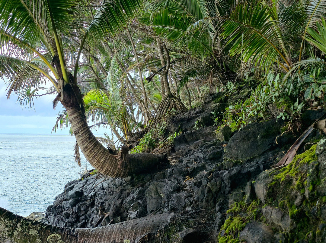 Mata Reva Teahupo'o-Teahupoo必去景点