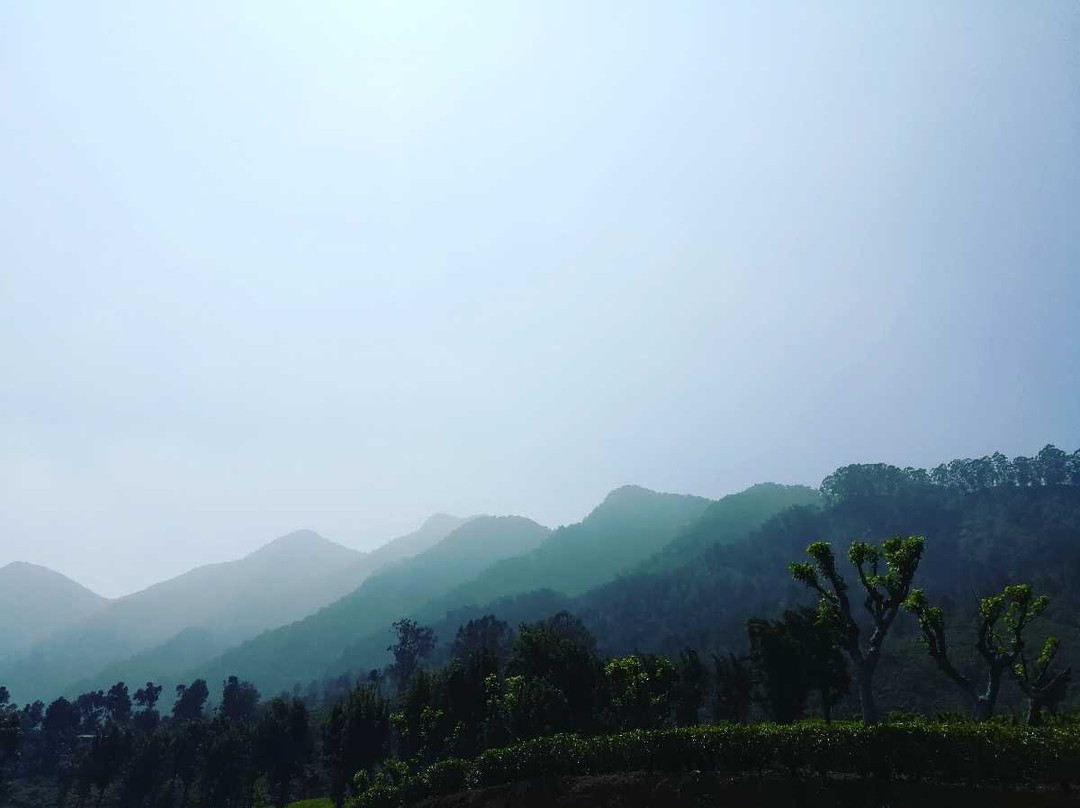 Jungle Camping Badulla Sri Lanak
