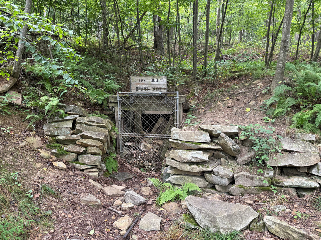 Deep Creek Lake State Park-Oakland必去景点