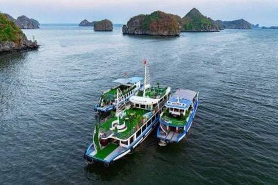 Cat Ba Eco Tourist-Cat Ba Town必去景点