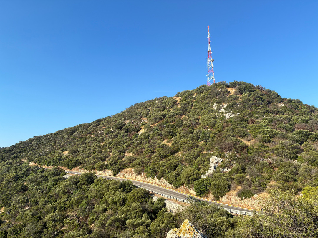 The Bikes-法萨诺必去景点