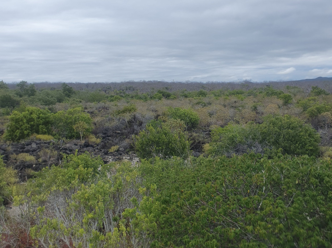Playa El Manglecito-圣克里斯托瓦尔必去景点