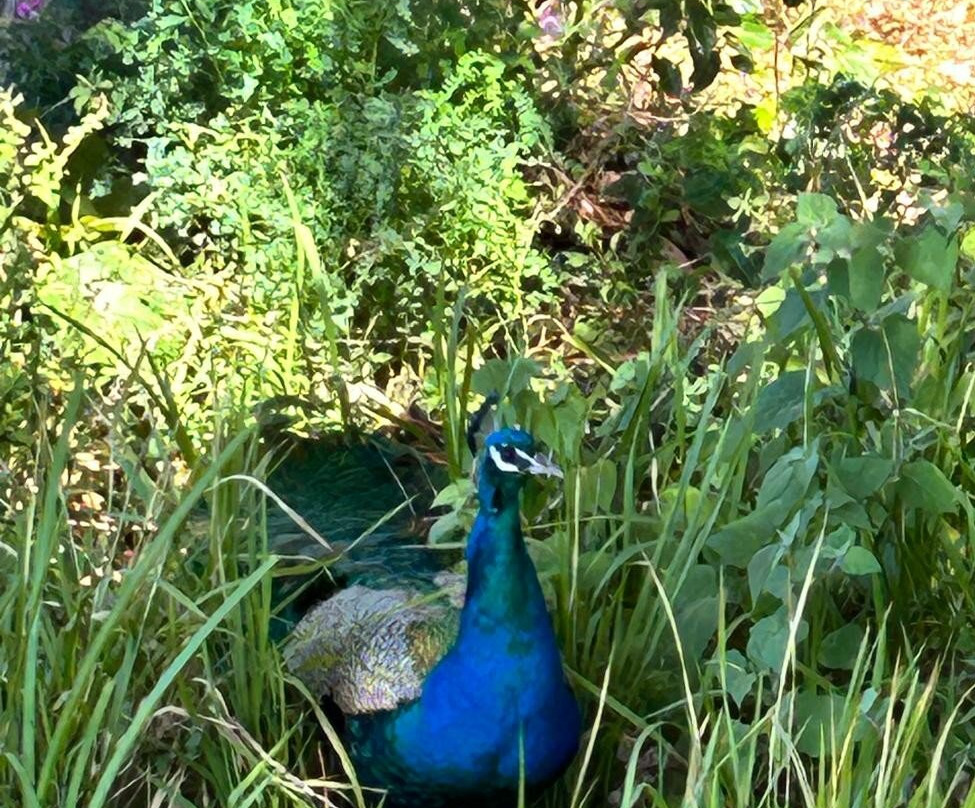 Gwinganna Lifestyle Retreat主图