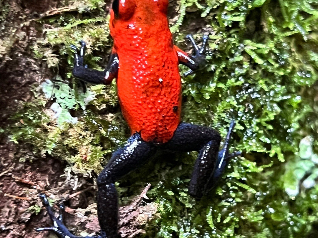 Royal Service Tours-利比里亚必去景点