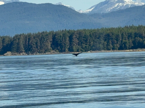 Jayleen's Alaska-朱诺必去景点