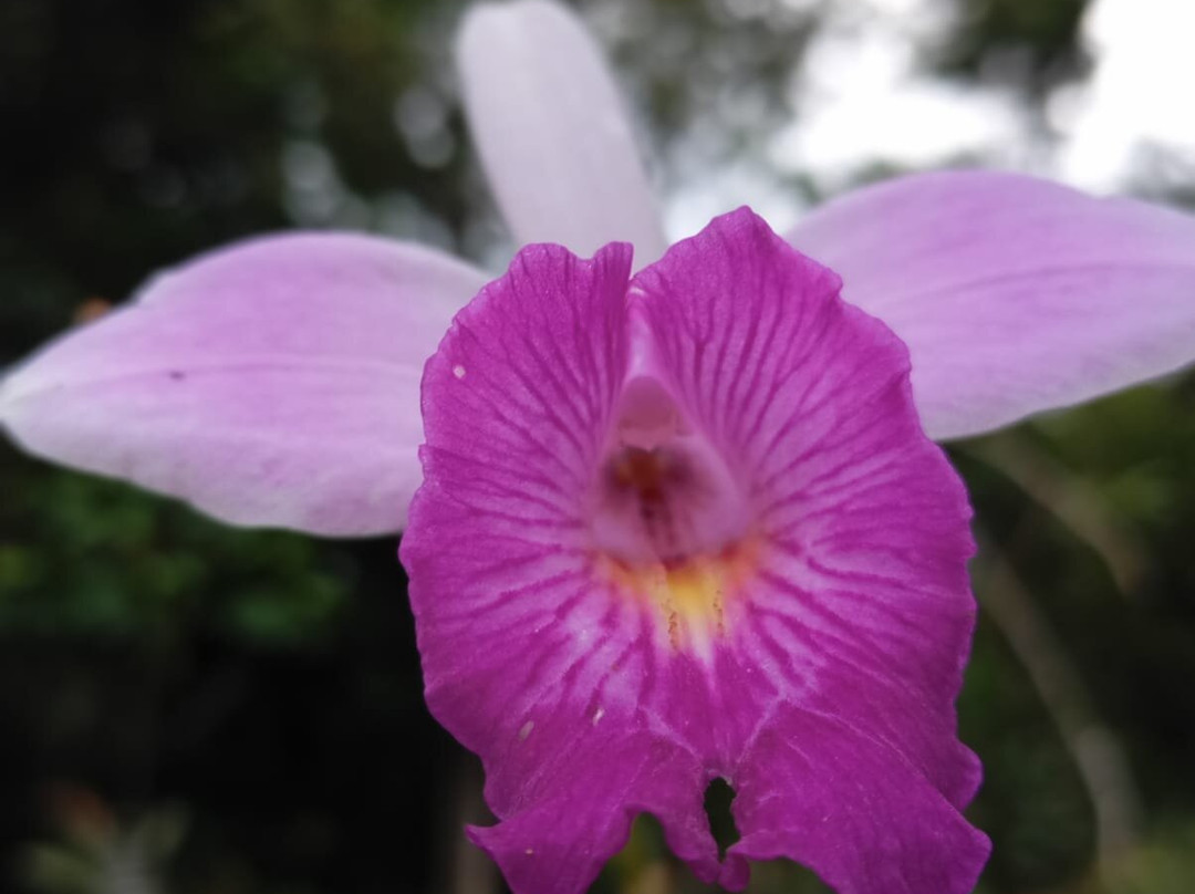 Aqua Amazon Xtreme-伊基托斯必去景点