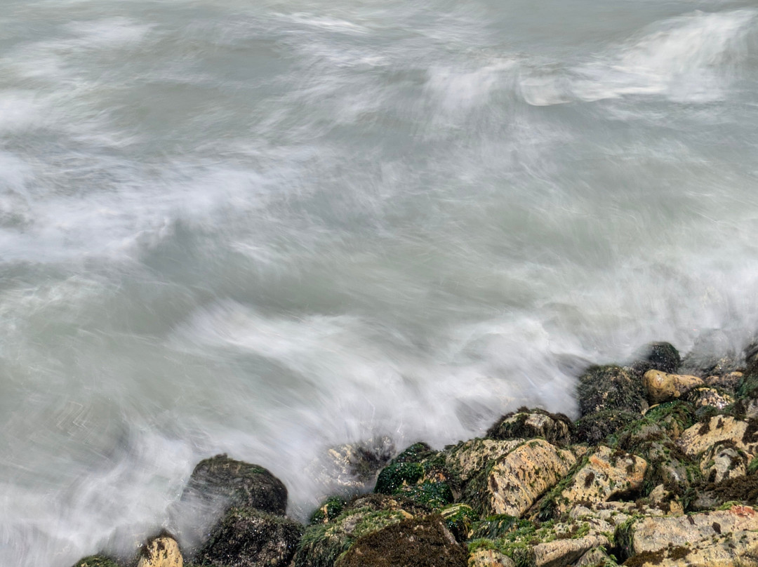 Magnolia Guesthouse Varkala主图