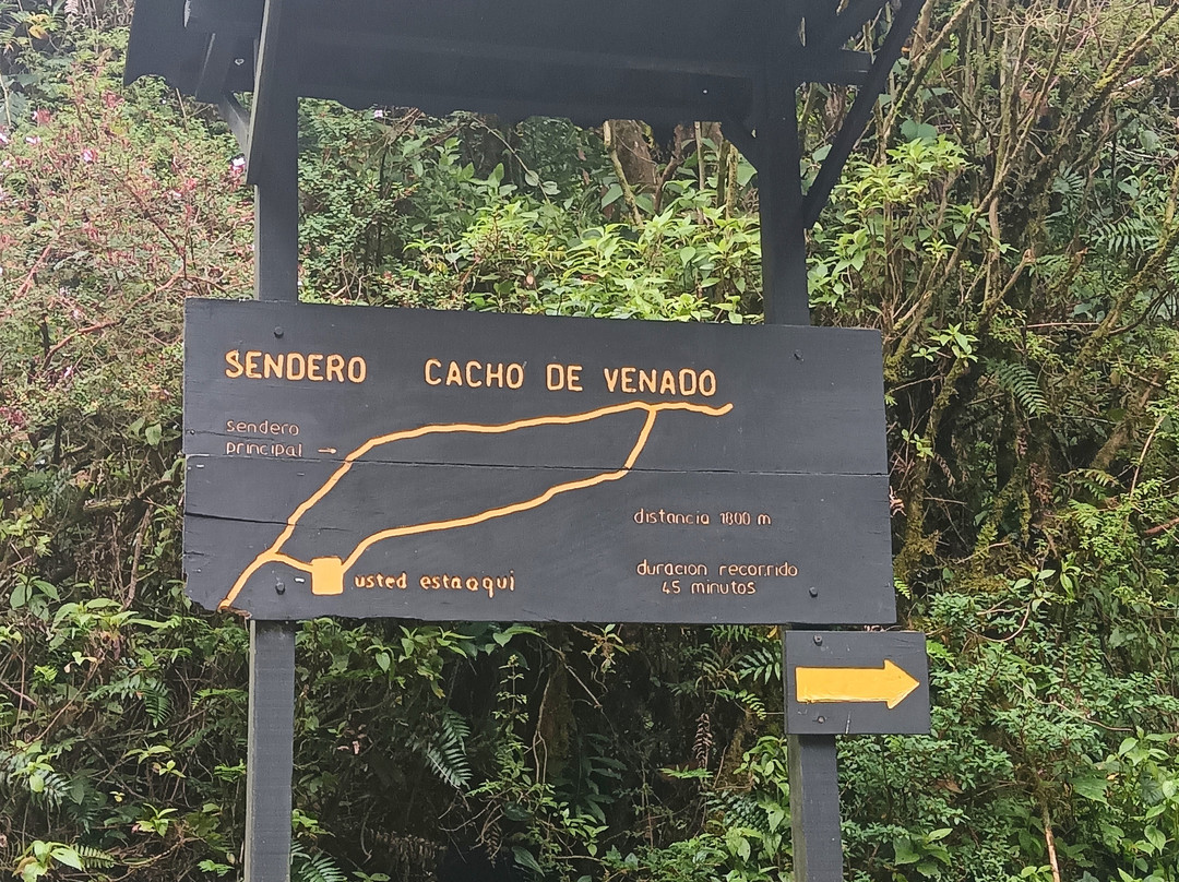 Volcán Barva-Barva必去景点