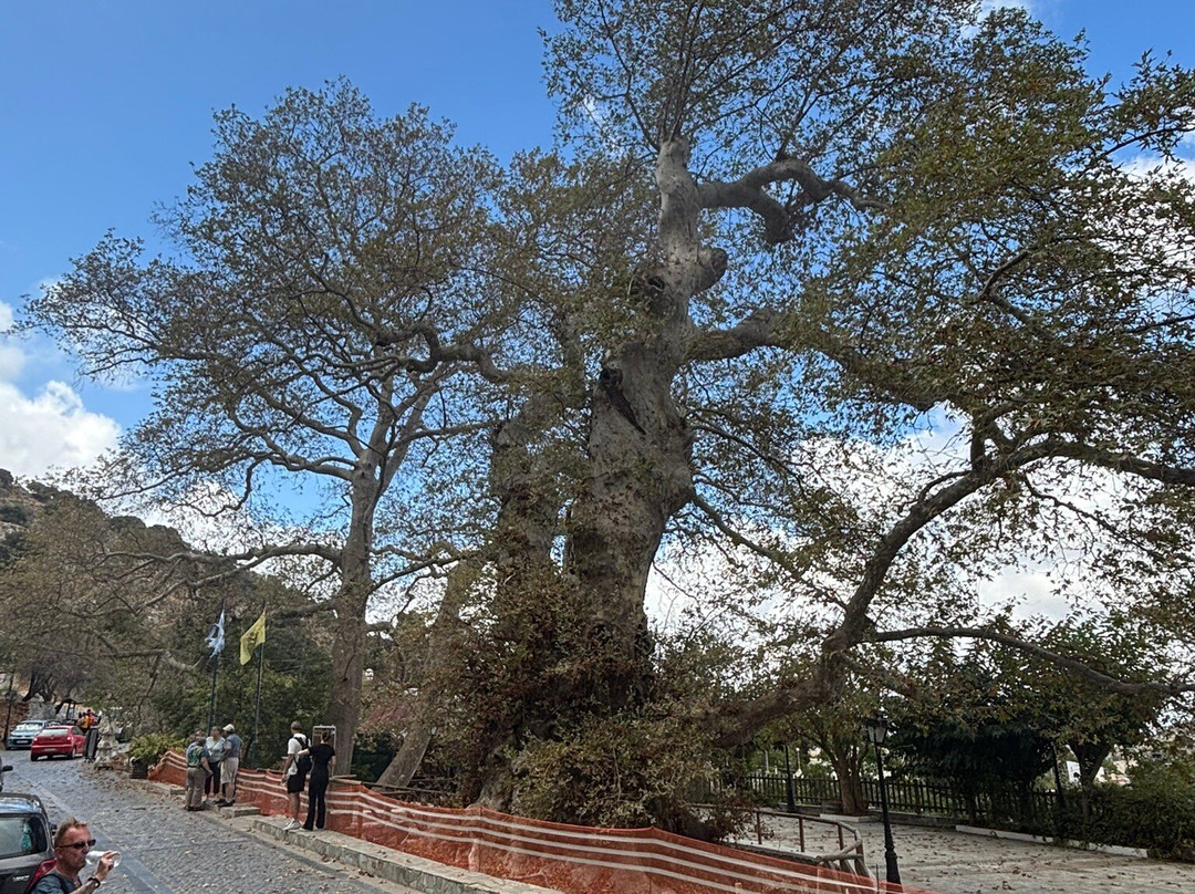 Asterion Quads-马利亚必去景点