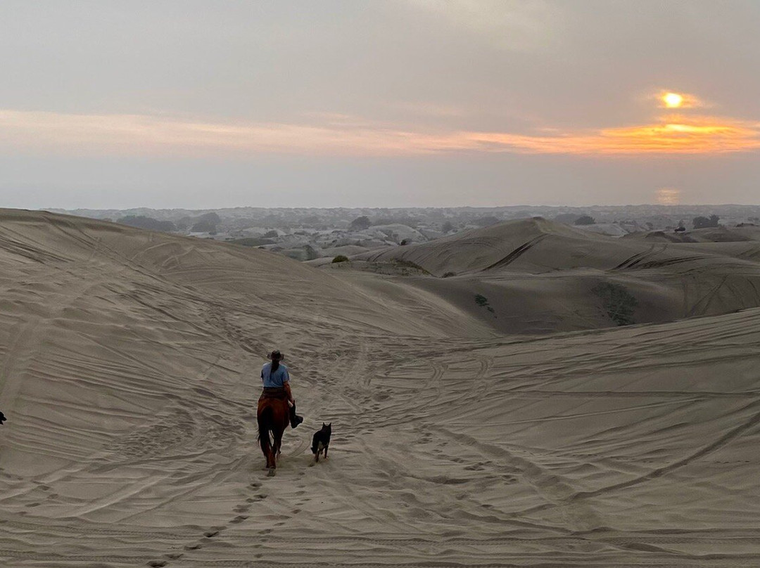 Ritoque Expeditions-Concon必去景点