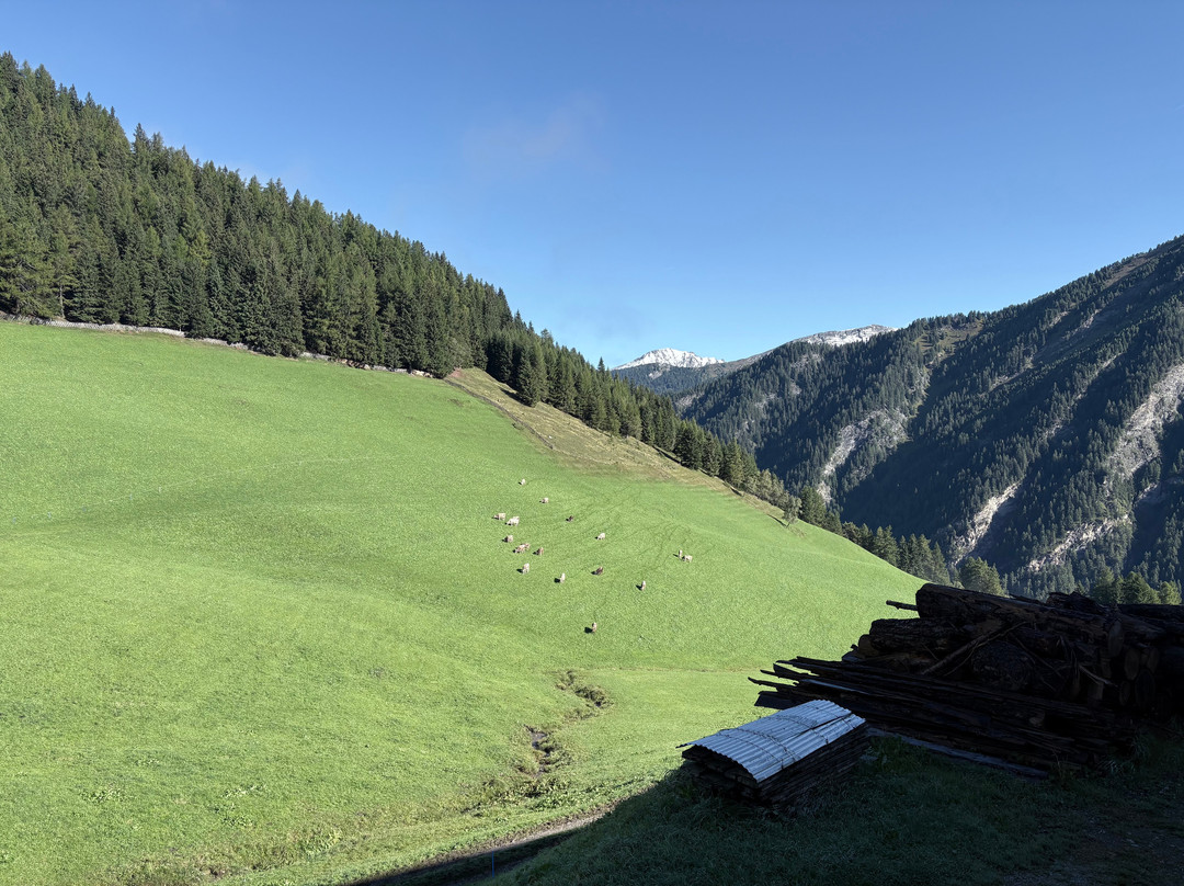 Berggasthof Steckholzer主图