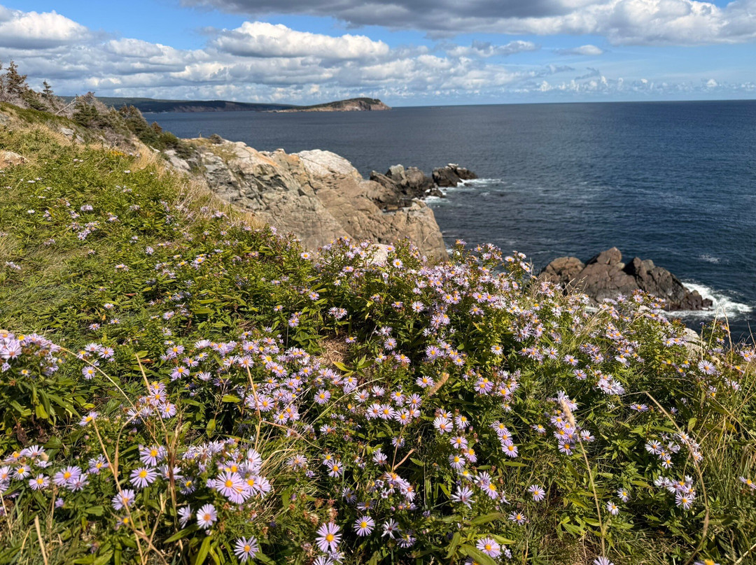 Middle Head Trail-Ingonish必去景点
