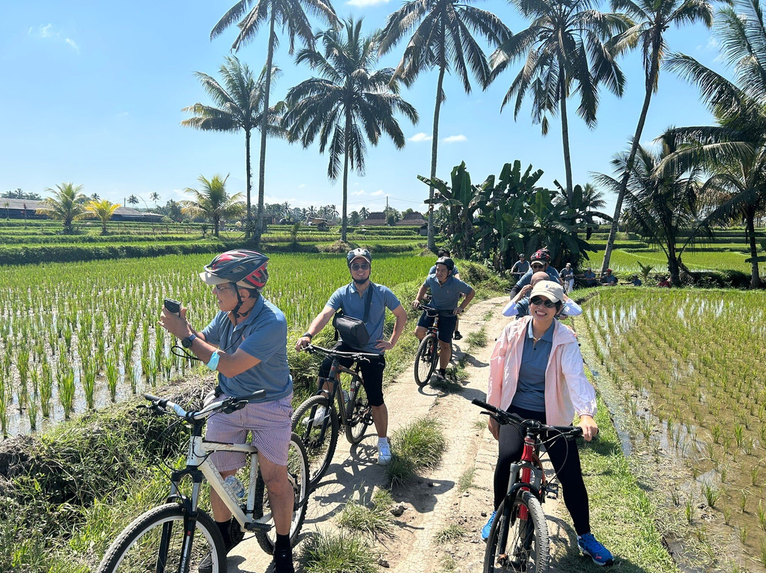 古农卡威斯巴图圣泉寺-Sebatu必去景点