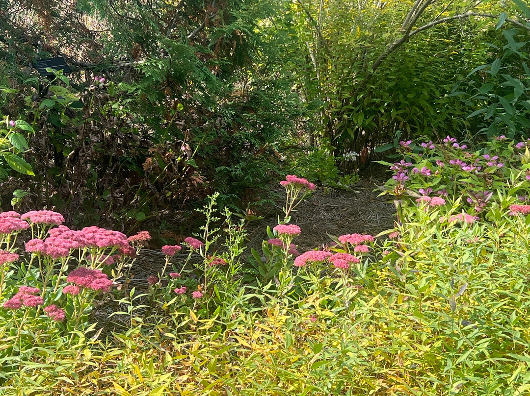 Holiday Inn Cleveland-Mayfield by IHG主图