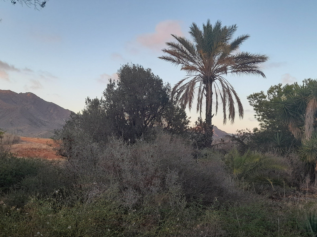 El Jardin De Los Suenos主图