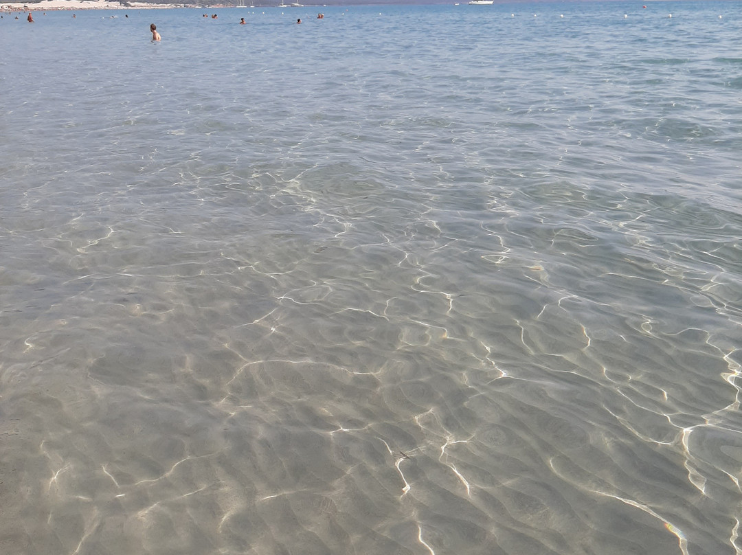 Bed and Breakfast Gli Ulivi主图