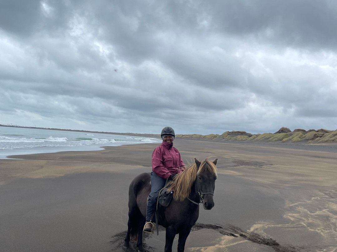 Eldhestar Volcano Horses-Olfus必去景点
