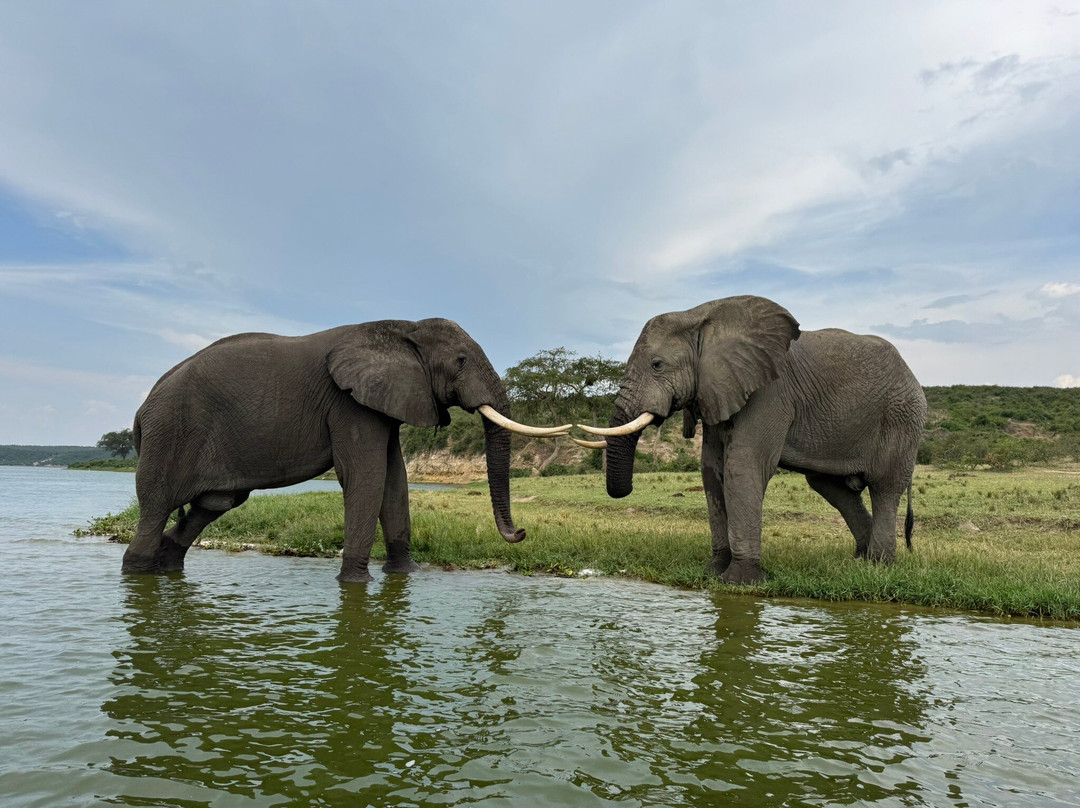 African Jungle Adventures -  Day Tours-吉佳利必去景点