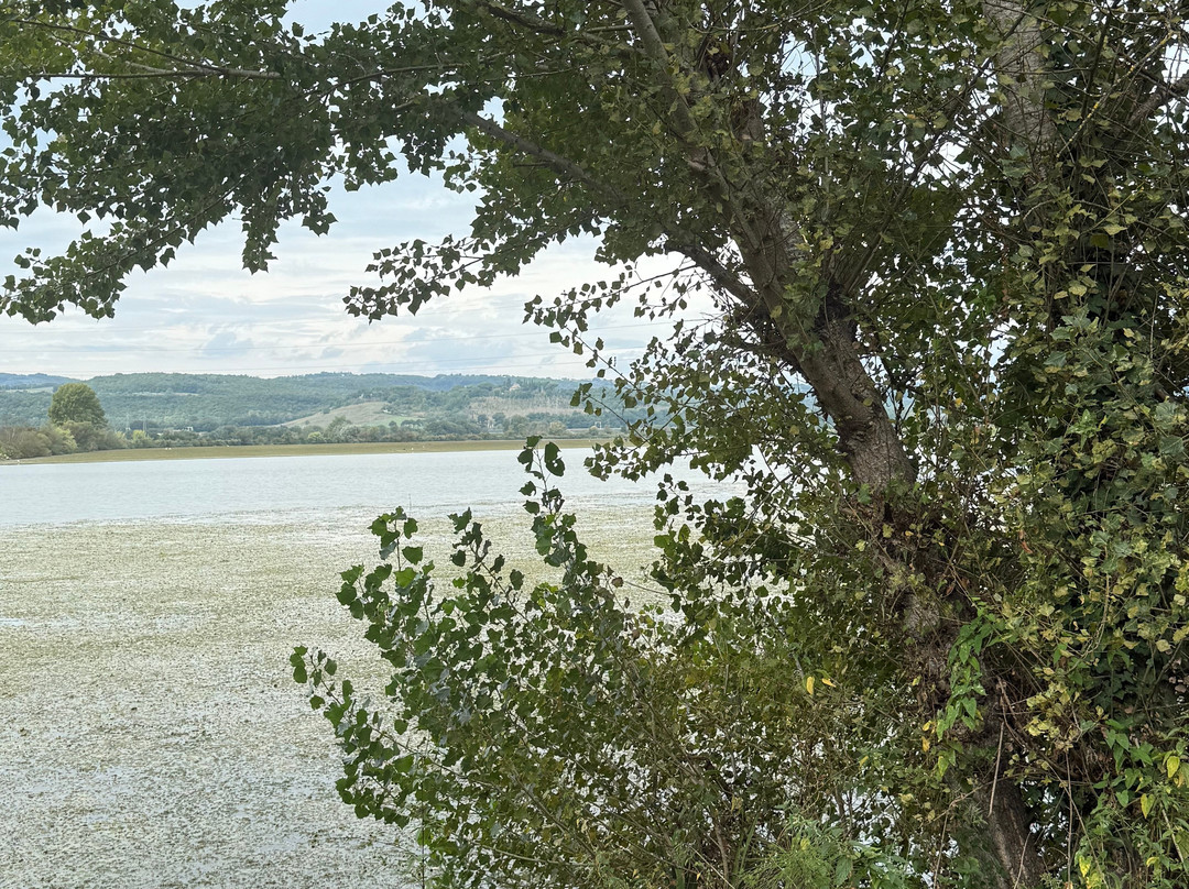 Birding In Italy-Capolona必去景点