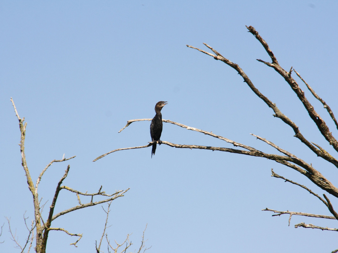 Navigazione Mincio-Rivalta sul Mincio必去景点