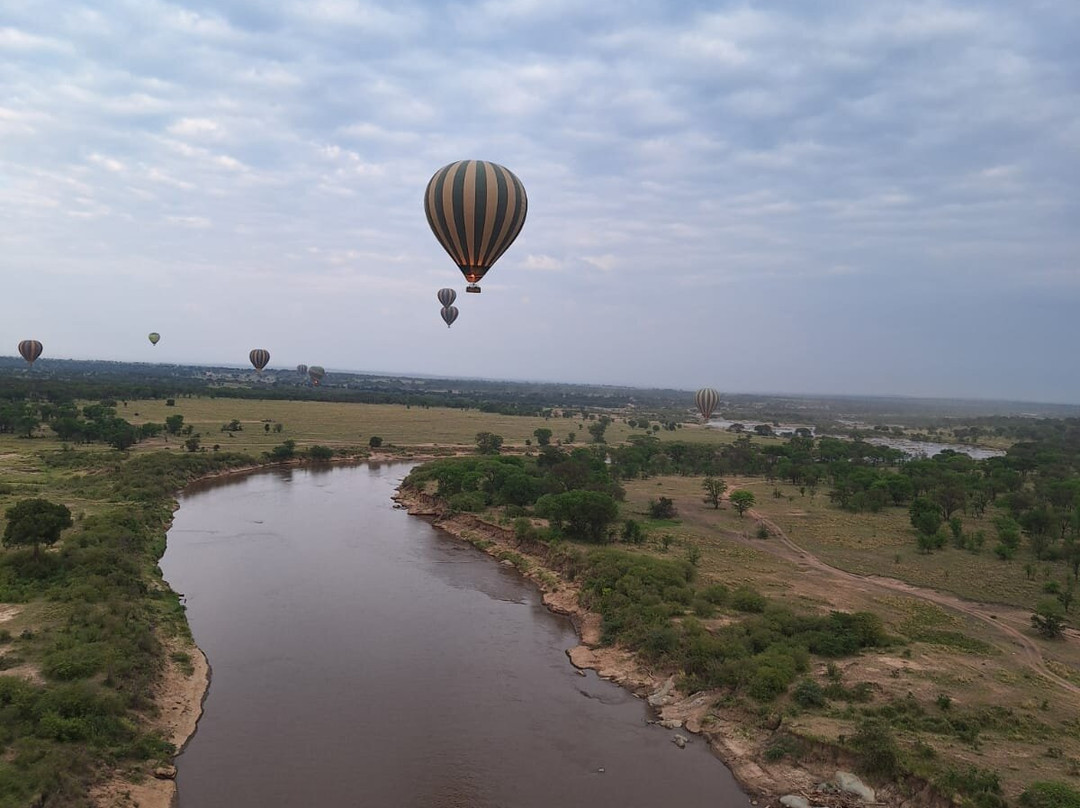 Caracal Tours & Safaris-莫西必去景点