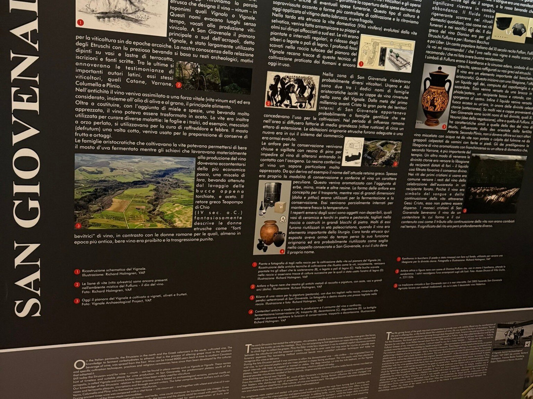 Museo Nazionale Etrusco di Viterbo-维泰博必去景点