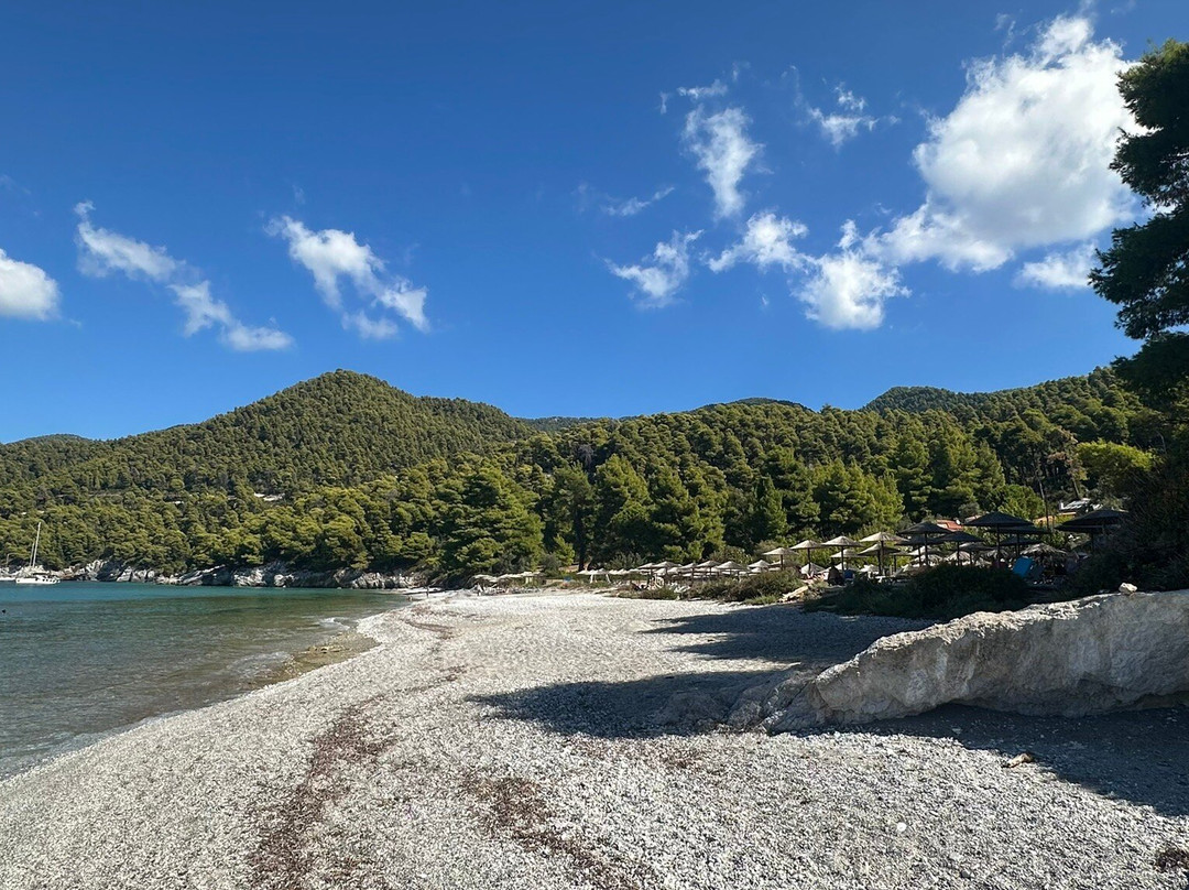 Milia Beach-斯科派洛斯必去景点