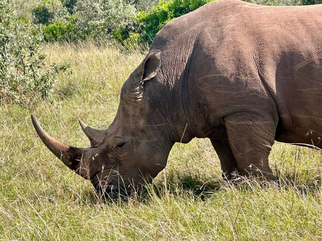 Adventure Out Loud-Kandanga必去景点
