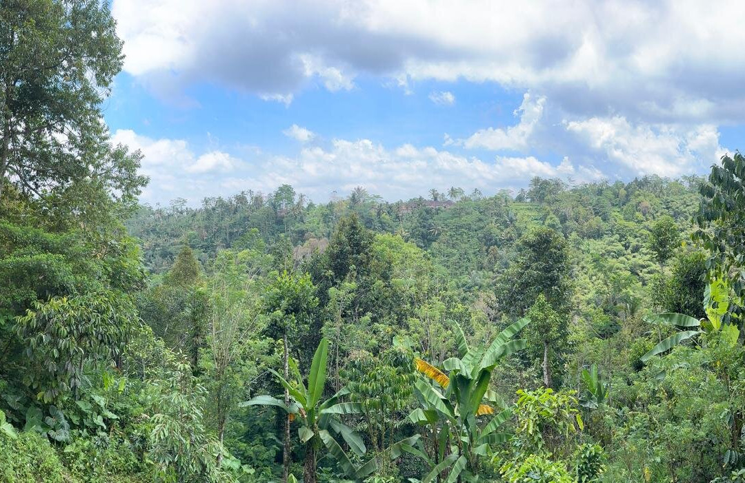 Cantik Agriculture-吉安雅必去景点