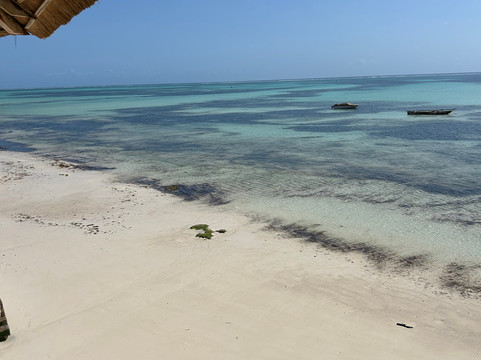 Follow Alice-莫西必去景点