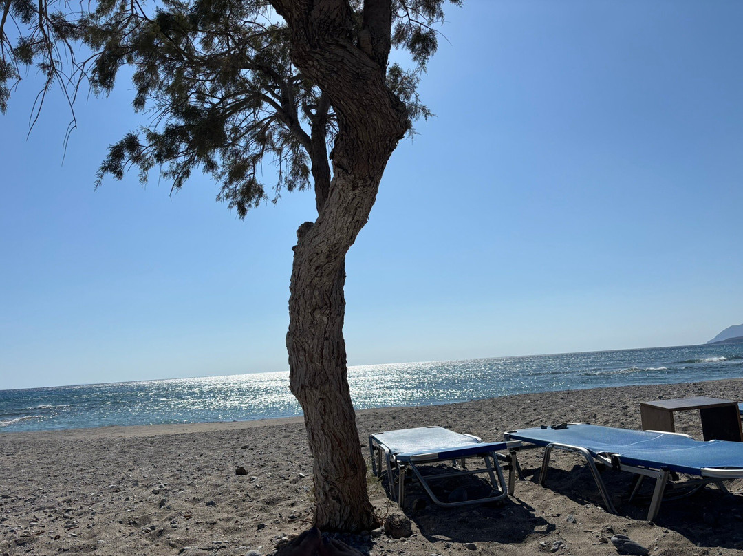 Sfakia酒店住宿-Studios Stavris