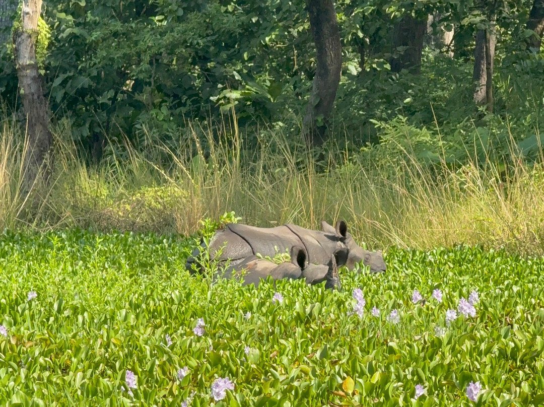 独特野生度假村主图