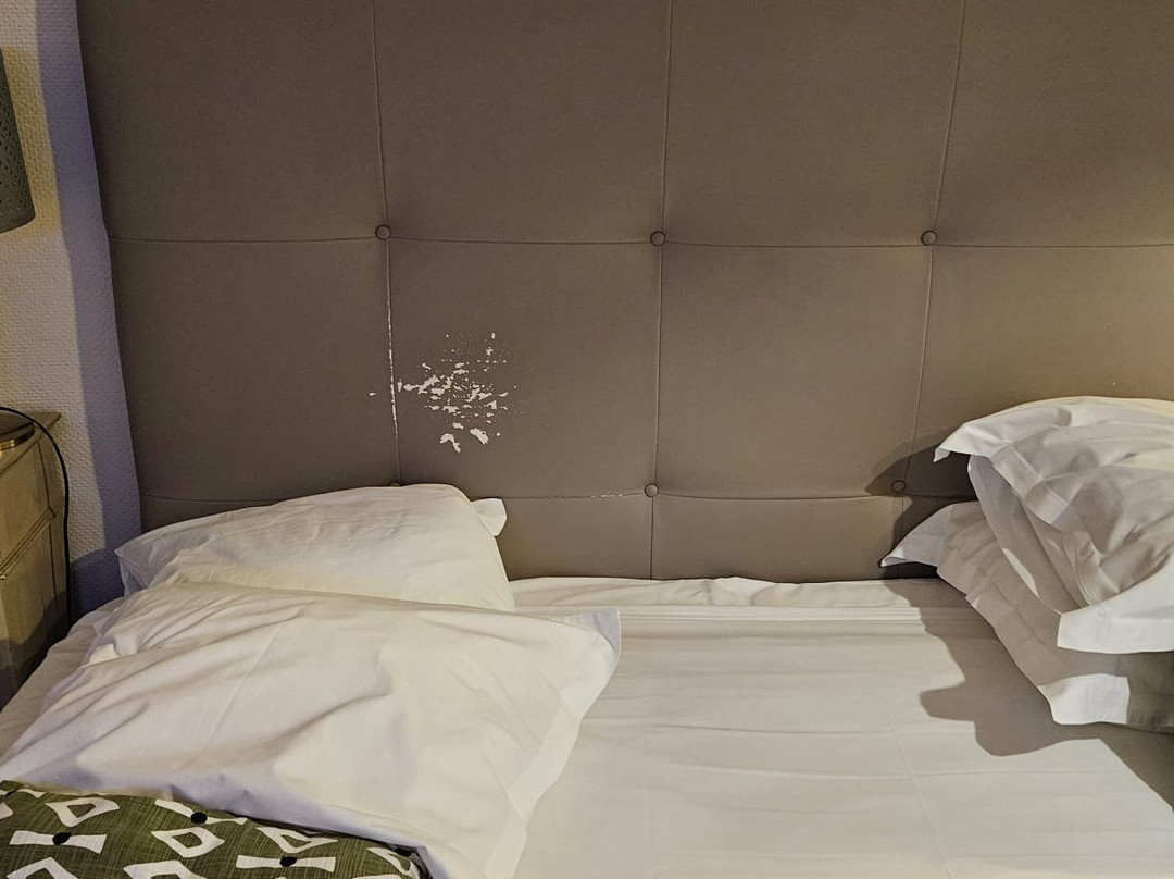 Najeti Hôtel la Magnaneraie主图