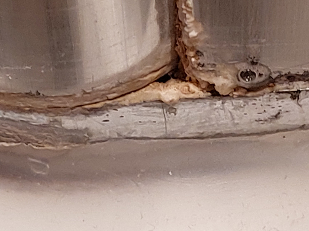 Strand Heringsdorf-塞巴特黑灵斯多夫必去景点