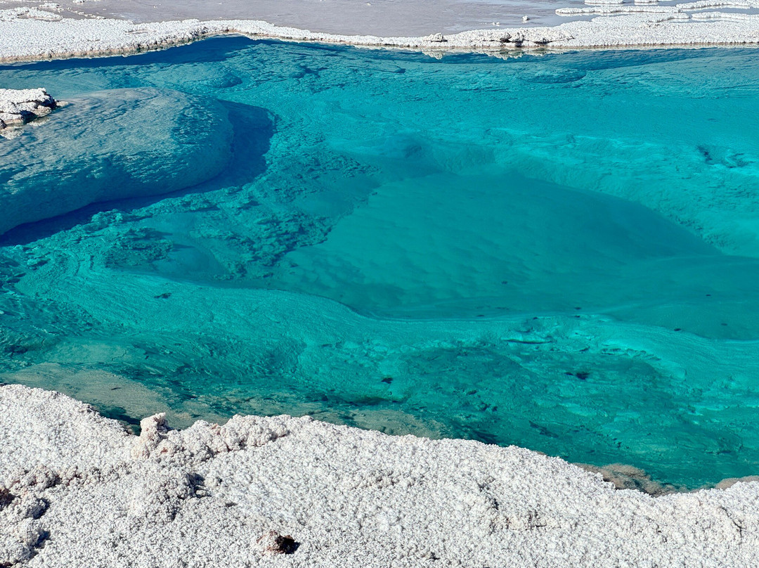 Lagunas Baltinache-圣佩德罗-德阿塔卡马必去景点
