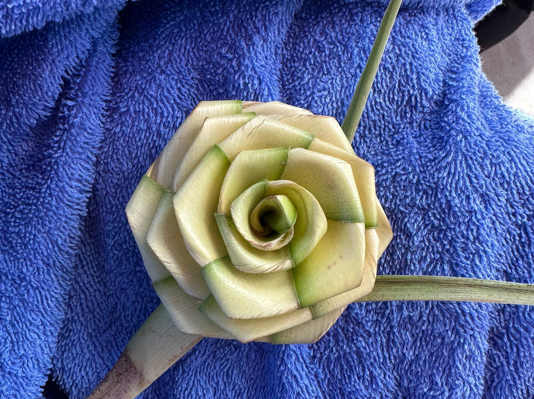 Rotoava Excursions-Fakarava必去景点