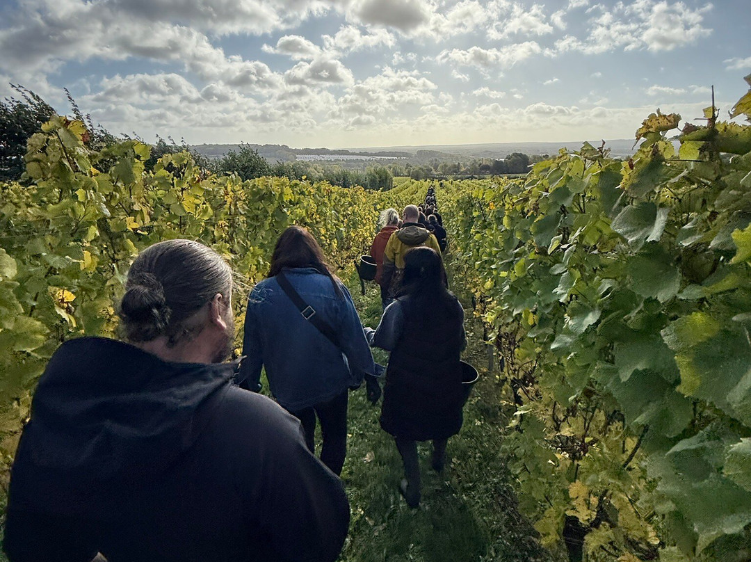 Yotes Court Vineyard-West Peckham必去景点