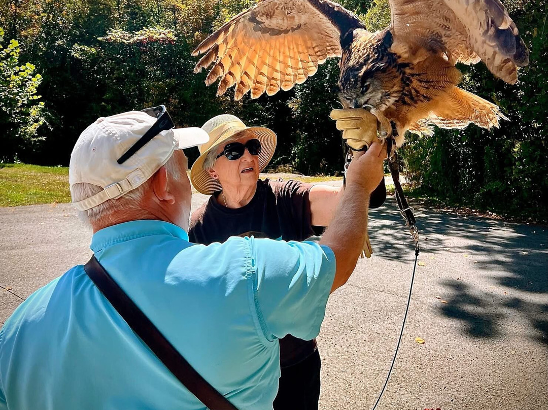 The Greenbrier Falconry-White Sulphur Springs必去景点