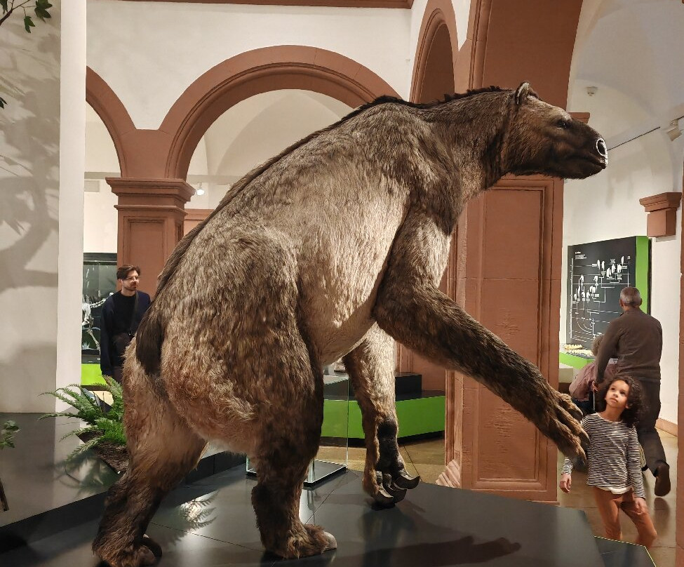 Naturhistorisches Museum Mainz-美因茨必去景点