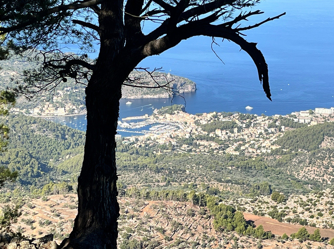 Hotel Can Verdera主图