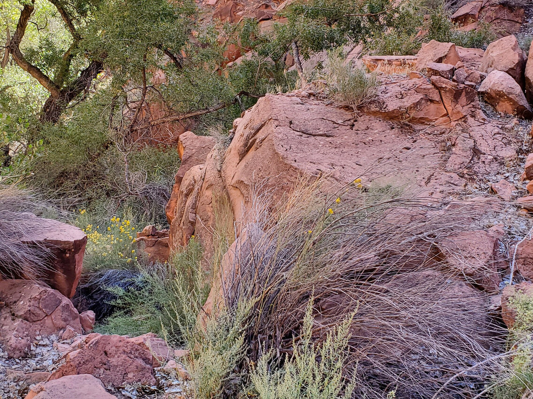 Coyote Gulch-埃斯卡兰特必去景点