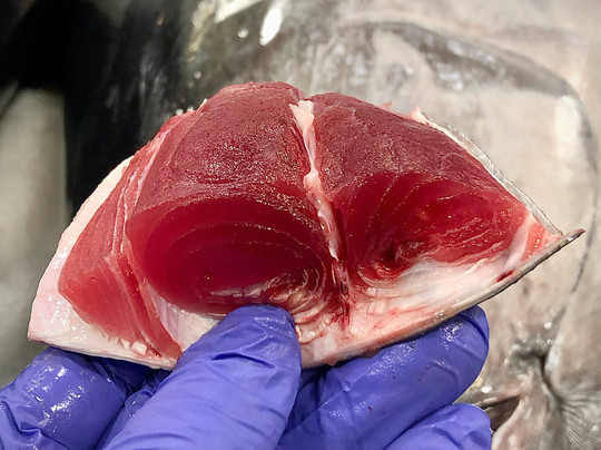 火奴鲁鲁鲜鱼拍卖会-火奴鲁鲁必去景点