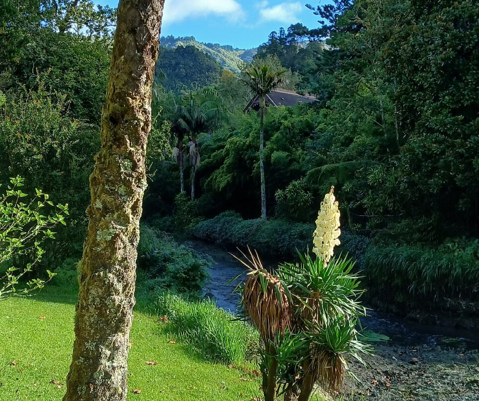 Parque Dona Beatriz do Canto-富尔纳斯必去景点