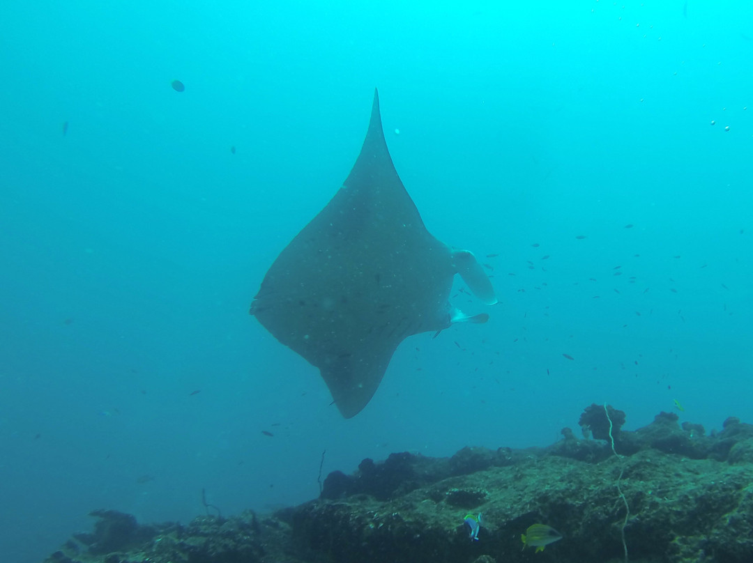 Himmafushi Scuba Adventure-Himmafushi Island必去景点