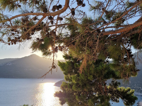 卡拉马赫酒店主图